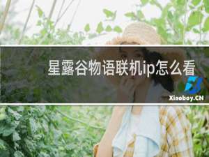 星露谷物语联机ip怎么看