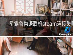 星露谷物语联机steam连接失败