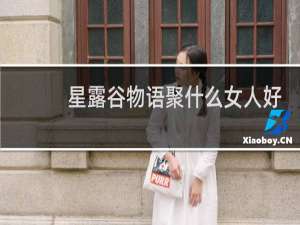 星露谷物语聚什么女人好
