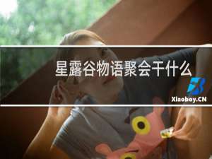 星露谷物语聚会干什么