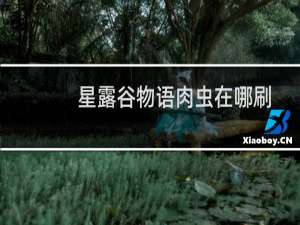 星露谷物语肉虫在哪刷