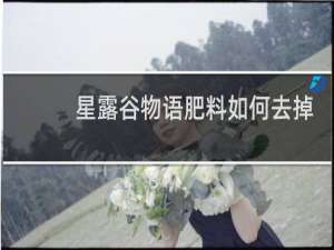 星露谷物语肥料如何去掉