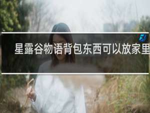 星露谷物语背包东西可以放家里吗