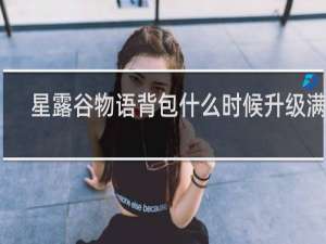 星露谷物语背包什么时候升级满级