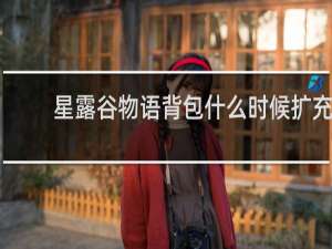 星露谷物语背包什么时候扩充