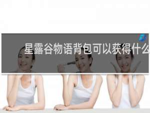星露谷物语背包可以获得什么