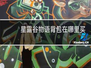 星露谷物语背包在哪里买