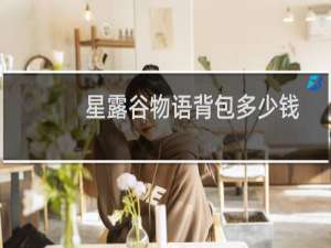 星露谷物语背包多少钱