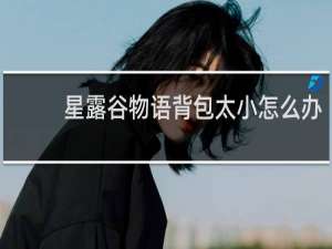 星露谷物语背包太小怎么办