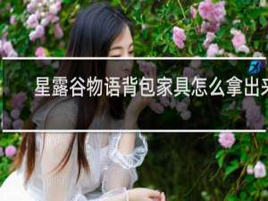 星露谷物语背包家具怎么拿出来