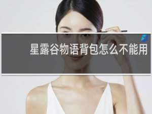 星露谷物语背包怎么不能用