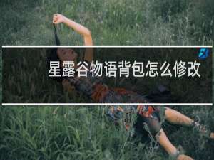 星露谷物语背包怎么修改