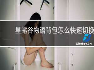 星露谷物语背包怎么快速切换