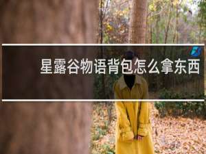 星露谷物语背包怎么拿东西