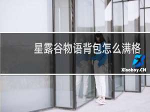 星露谷物语背包怎么满格