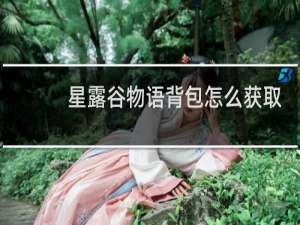 星露谷物语背包怎么获取