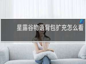星露谷物语背包扩充怎么看