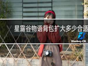 星露谷物语背包扩大多少合适