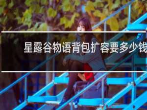 星露谷物语背包扩容要多少钱