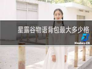 星露谷物语背包最大多少格