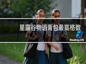 星露谷物语背包最高格数