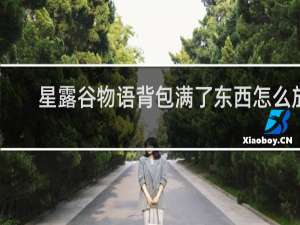 星露谷物语背包满了东西怎么放