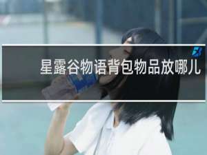 星露谷物语背包物品放哪儿