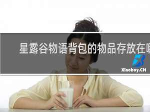 星露谷物语背包的物品存放在哪