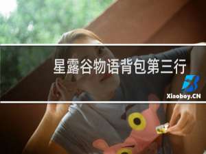 星露谷物语背包第三行