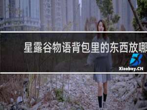 星露谷物语背包里的东西放哪