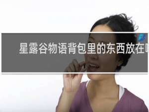 星露谷物语背包里的东西放在哪