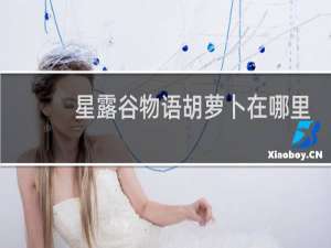 星露谷物语胡萝卜在哪里