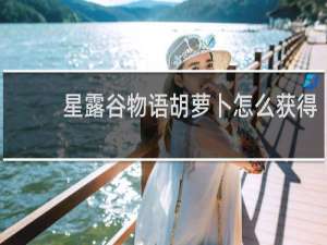 星露谷物语胡萝卜怎么获得