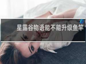 星露谷物语能不能升级鱼竿