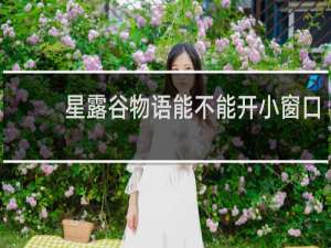 星露谷物语能不能开小窗口
