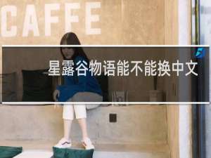 星露谷物语能不能换中文
