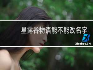 星露谷物语能不能改名字