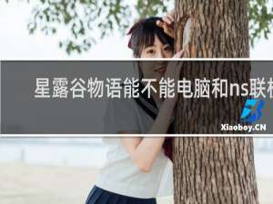 星露谷物语能不能电脑和ns联机