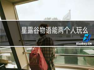星露谷物语能两个人玩么
