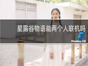 星露谷物语能两个人联机吗
