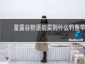 星露谷物语能买到什么钓鱼竿