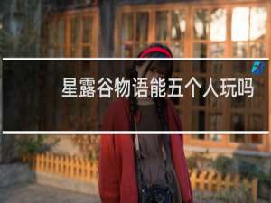 星露谷物语能五个人玩吗