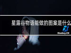 星露谷物语能做的图案是什么