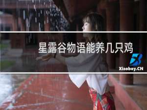 星露谷物语能养几只鸡