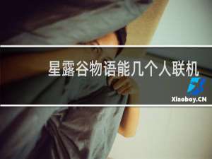 星露谷物语能几个人联机