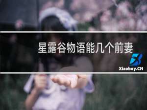 星露谷物语能几个前妻