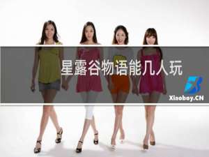 星露谷物语能几人玩