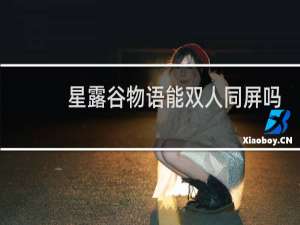 星露谷物语能双人同屏吗