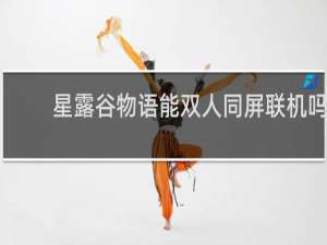 星露谷物语能双人同屏联机吗
