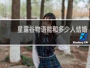 星露谷物语能和多少人结婚